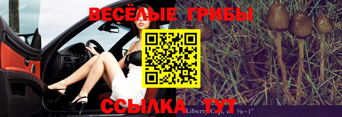 Псилоцибиновые грибы мицелий  Вход с VPN  Борисоглебск 